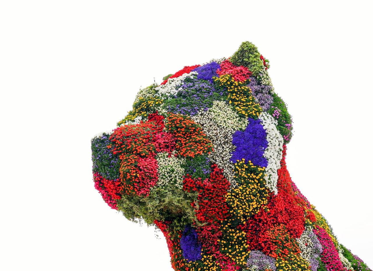 Puppy, la escultura floral de Jeff Koons frente al Guggenheim Bilbao