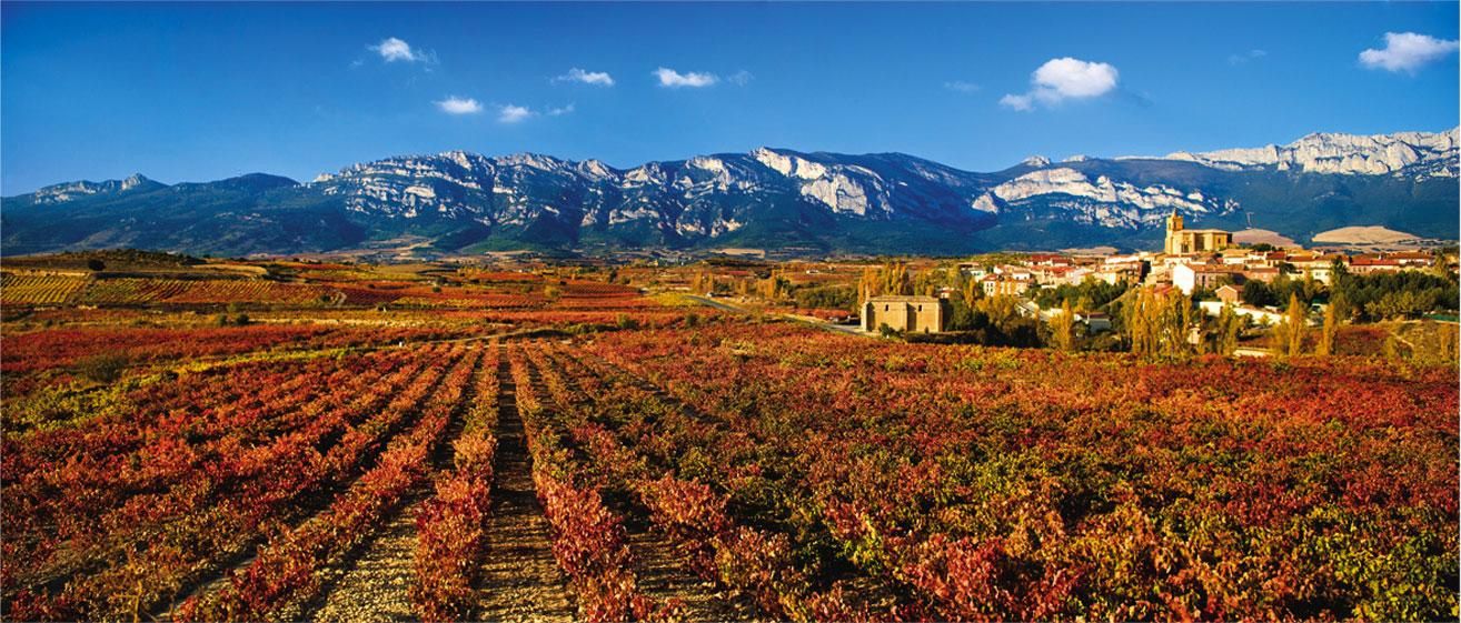 Rioja Alavesa: viñedos, Laguardia y bodegas